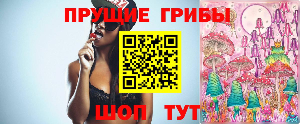 Железноводск  Псилоцибиновые грибы Cubensis  Вход с VPN 